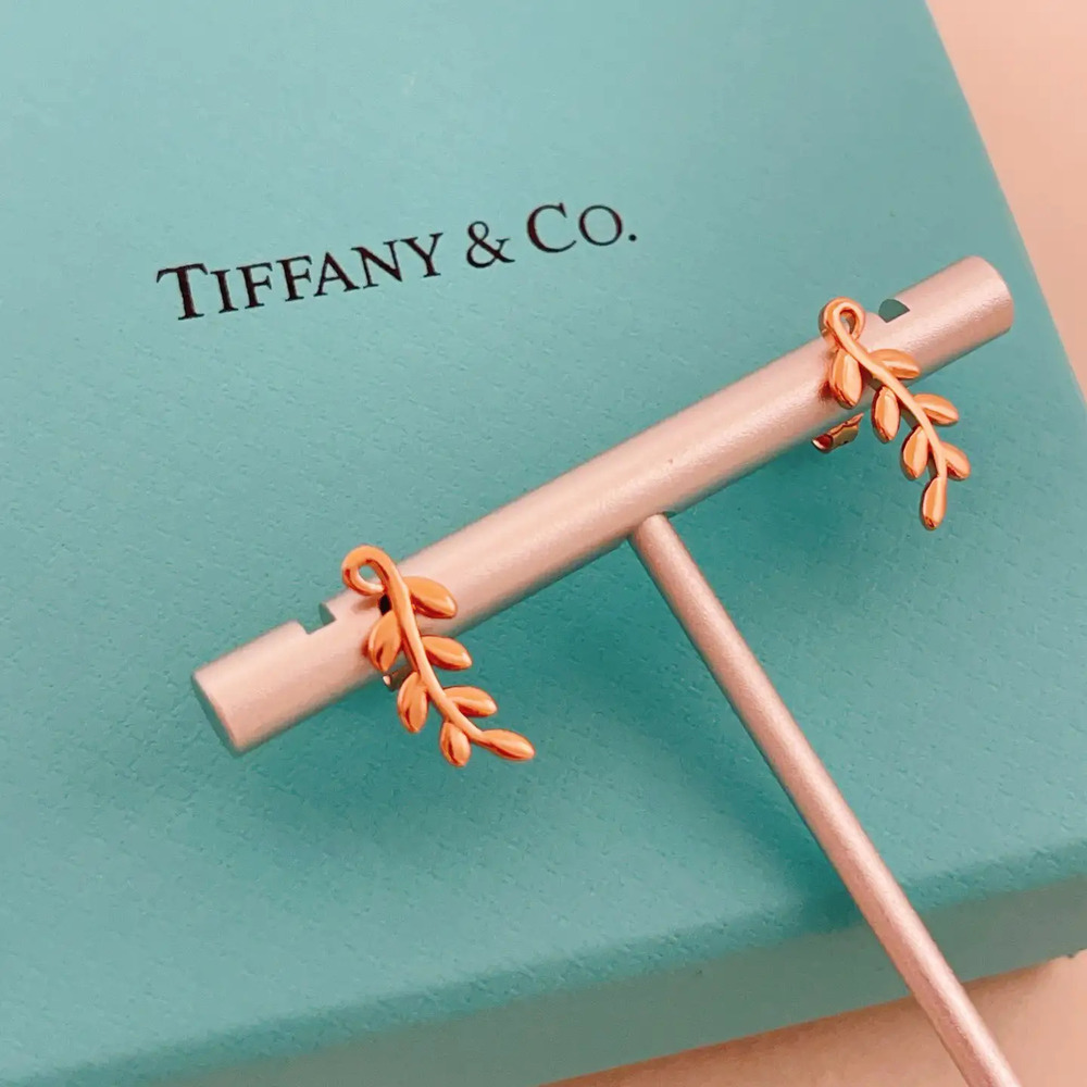 Tiffany & Co. Fashion Rose Gold Stud Earrings